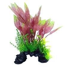 SuperFish Deco Plant L Henkelianus