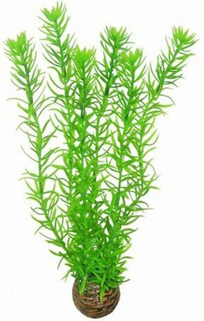 SuperFish Easy Plant Hoog 30cm Nr 1