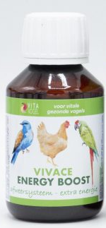 Vita Vogel Vivace Energy Boost 100 ml