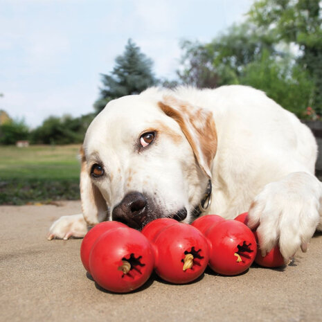 Kong hond Goodie Ribbon small, rood