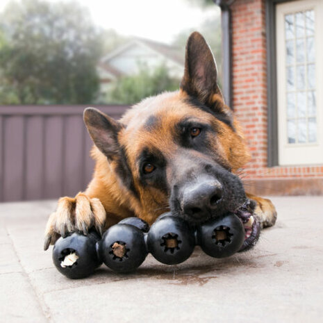 Kong hond Extreme rubber Goodie ribbon zwart, medium