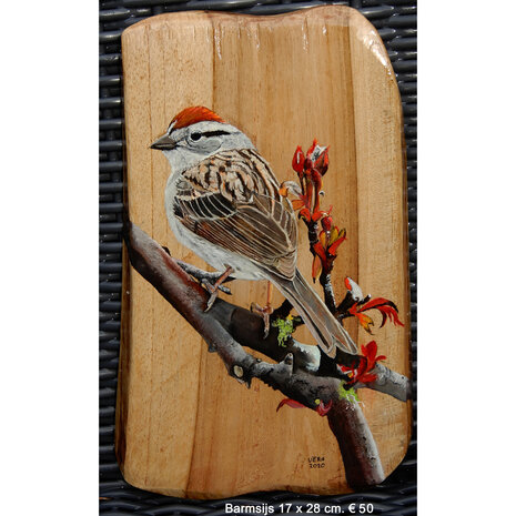 Barmsijs op hout 17 x 28 cm.