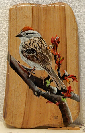 Barmsijs op hout 17 x 28 cm.