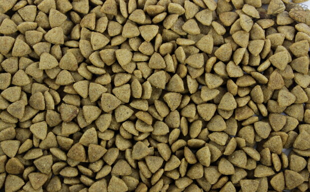 Natural Health Cat Diet Kidney Renal 2 kg