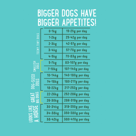 Edgard & Cooper hond brok lam 2,5kg Graanvrij
