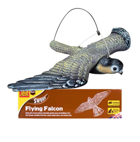 big cheese flying Falcon vogel verjager