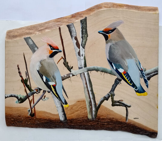 Schilderij pestvogels op hout 38 x 34 cm.