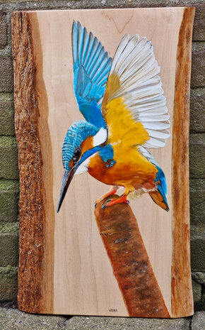 Schilderij ijsvogel op hout 27 x 26 cm.