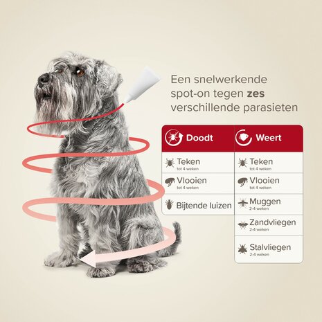 Beaphar ProtectTix hond 4-10 kg 4 pip vlooienbestrijding