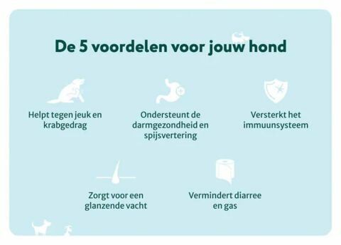 Dogsuppy Anti-Jeuk met Rund Probiotica 60 stuks