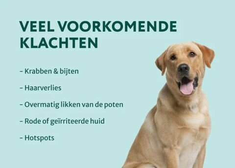 Dogsuppy Anti-Jeuk Spray Probiotica 250 ml