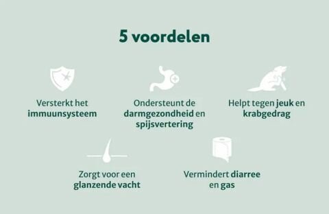 Dogsuppy Probiotica Forte kip Spijsvertering en darmflora 60 stuks