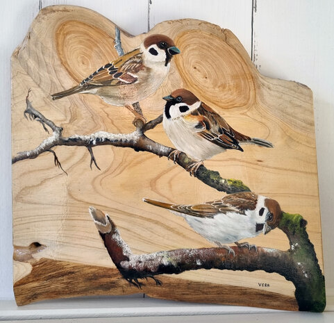 Schilderij 3 mussen op hout 35 x 35 cm.