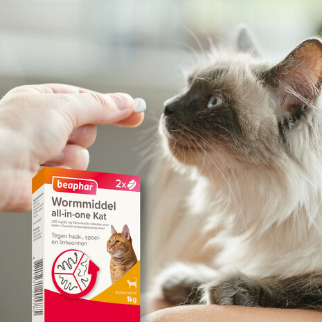 Beaphar Wormmiddel All In One Kat 2 tab.