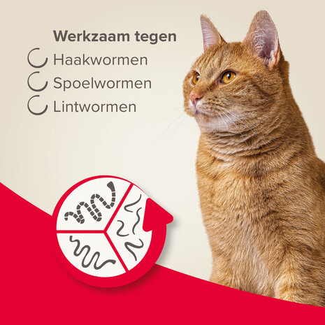 Beaphar Wormmiddel All In One Kat 2 tab.