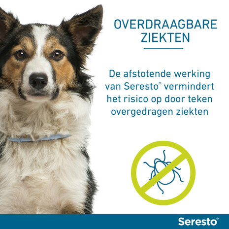 Seresto halsband 70cm voor hond vanaf 8kg tegen vlooien, teken, luizen 