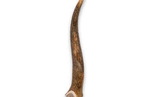 Pets en Co Hertengewei L (151-225G) 1 st