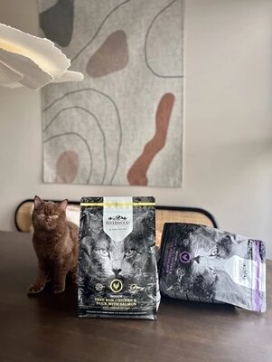 Riverwood Kitten  Kip & Eend met Zalm 300 gram