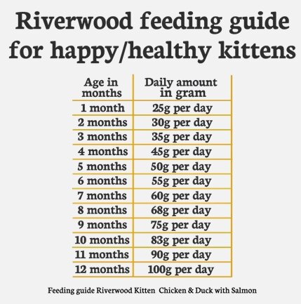 Riverwood Kitten  Kip & Eend met Zalm 300 gram