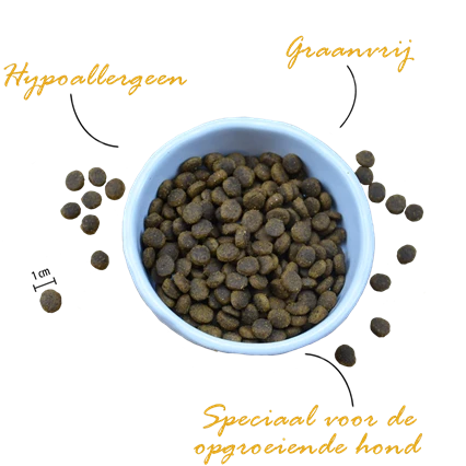Riverwood Puppy Kalkoen & Eend met Fazant 2 kg