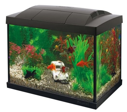 SuperFish Start 20 Goldfish Kit Zwart
