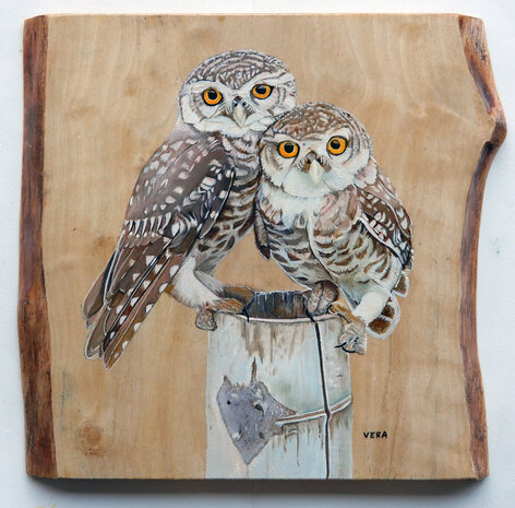 Schilderij steenuilen op hout 28 x 26 cm.