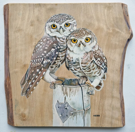 Schilderij steenuilen op hout 28 x 26 cm.