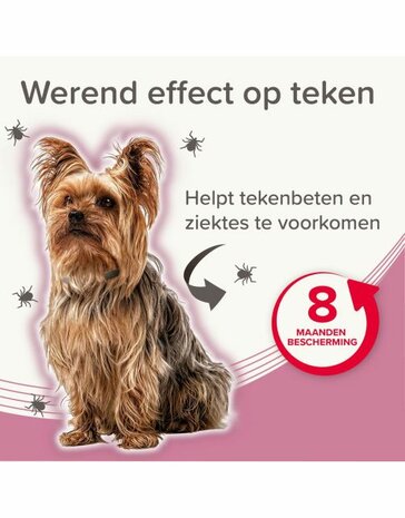 Beaphar Medicinale Halsband Hond tot 8 kg | Tot 8 maanden bescherming