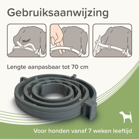 Beaphar Medicinale Halsband Hond vanaf 8 kg | Tot 8 maanden bescherming