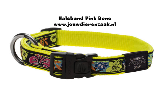 rogz - Jellybean halsband 11mm Dayglo Floral