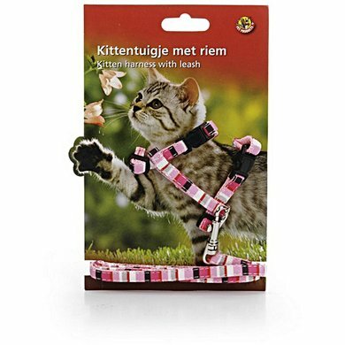 Beeztees kittentuigje met riem roze