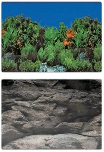 SuperFish Deco Poster B