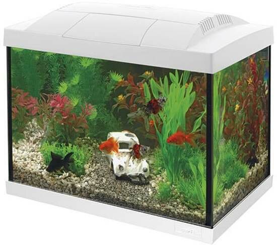 SuperFish Start 20 Aquarium Kit Wit