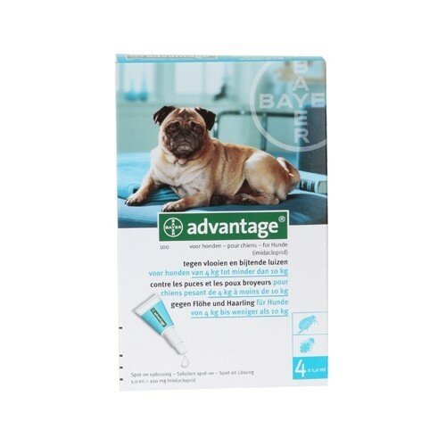 Advantage Hond 100 4 Pipetten