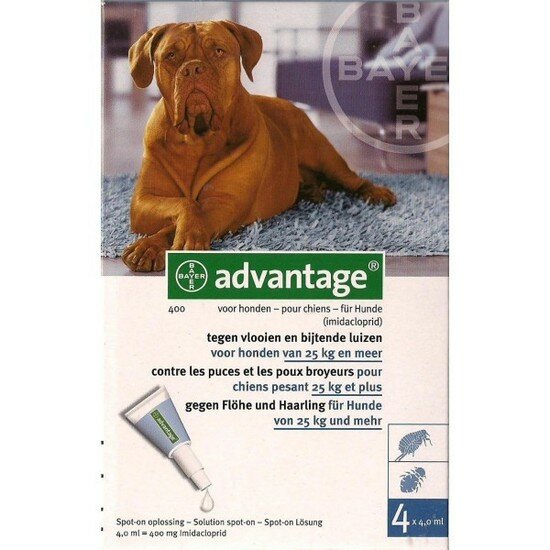 Advantage Hond 400 4 Pipetten