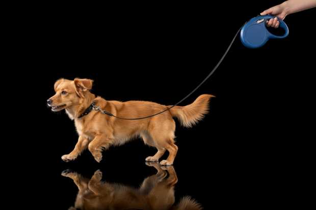 flexi rollijn CLASSIC tape XS blauw, 3 meter.