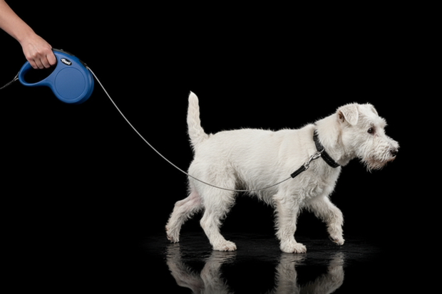 flexi rollijn CLASSIC cord M blauw, 5 meter