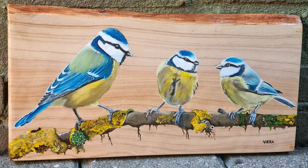 Schilderij pimpelmezen op hout 33 x 17 cm.