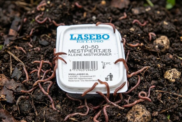 Mest wormen 40-50 Stuks