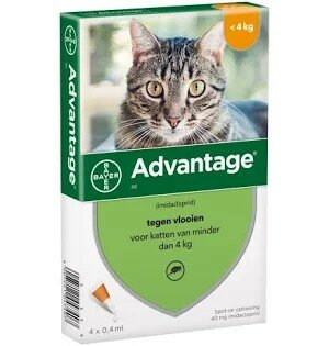Advantage vlooienpipetten kat tot 4 kg 4 pipetten