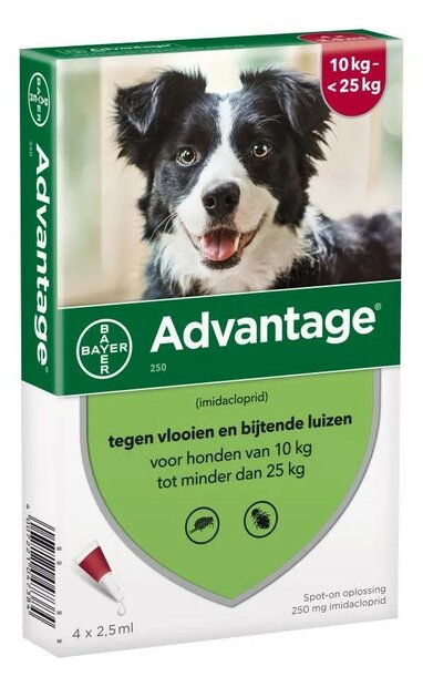 Advantage vlooienpipetten hond 10&ndash;25 kg 4 pipetten