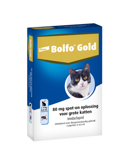 Bolfo Gold Kat 80 4 Pipetten