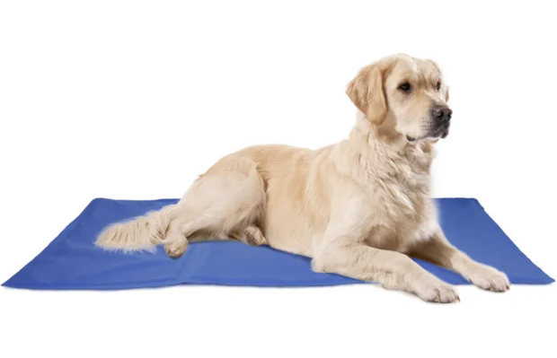 Flamingo Koelmat Frosty Rechthoekig Blauw XL 100x60 cm | Grote koelmat voor hond