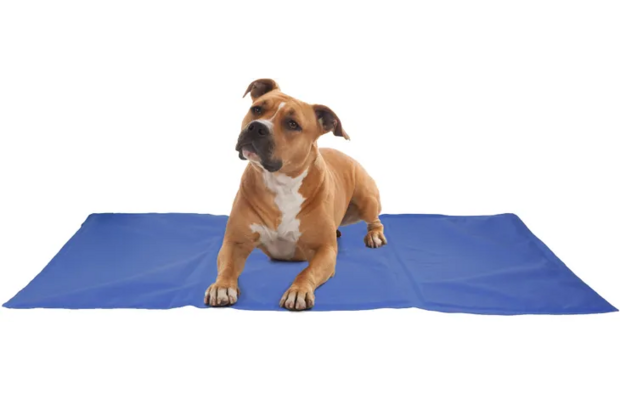 Flamingo Koelmat Frosty Rechthoekig Blauw XXL 120x80 cm | Extra grote koelmat voor hond