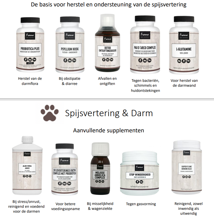 Spijsvertering-en-Darm