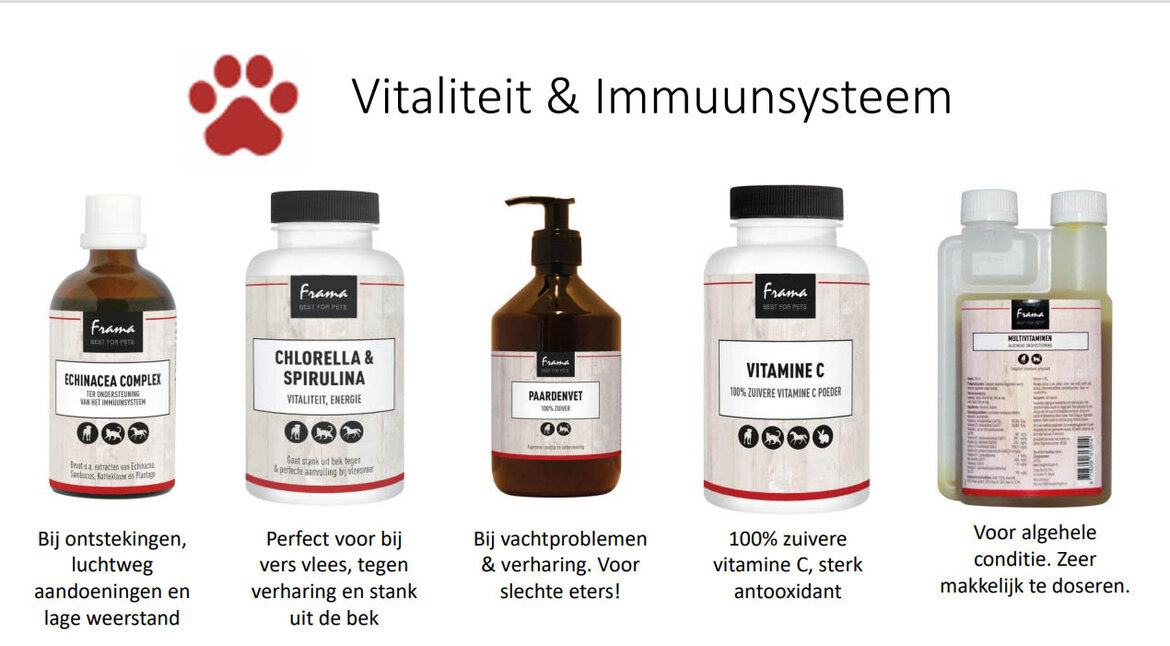 Vitaliteit-en-imuumsysteem