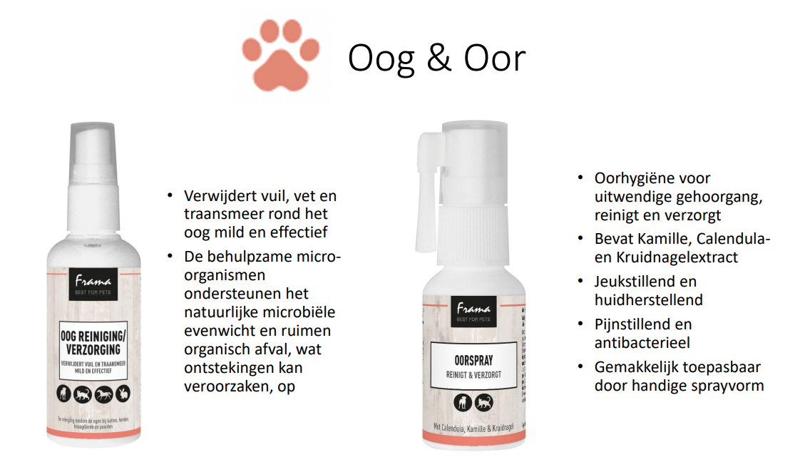 Oog-en-Oor-kat