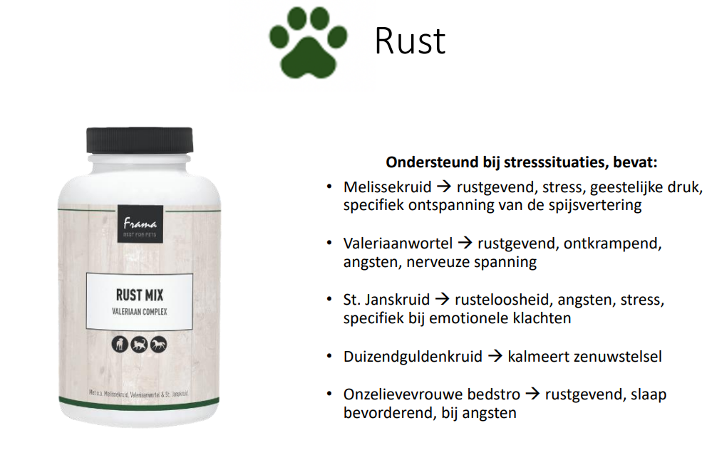 Rust-kat