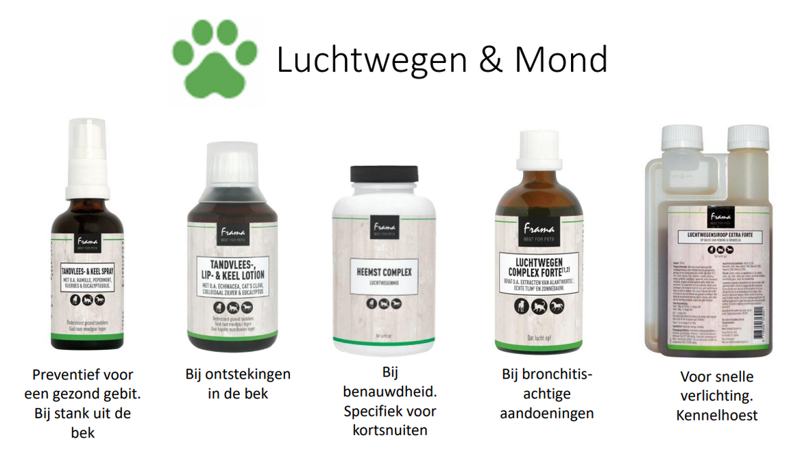 Luchtwegen-en-Mond-Kat