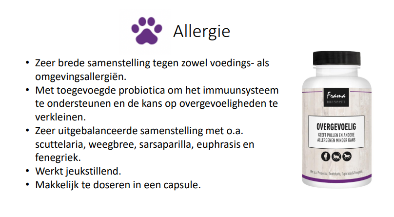 Allergie-kat